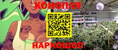 спиды Кимры